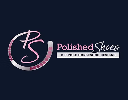 Polished Shoes