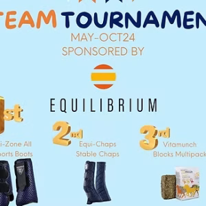 Team Test Tournament