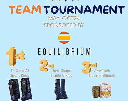 Steve Test Team Tournament